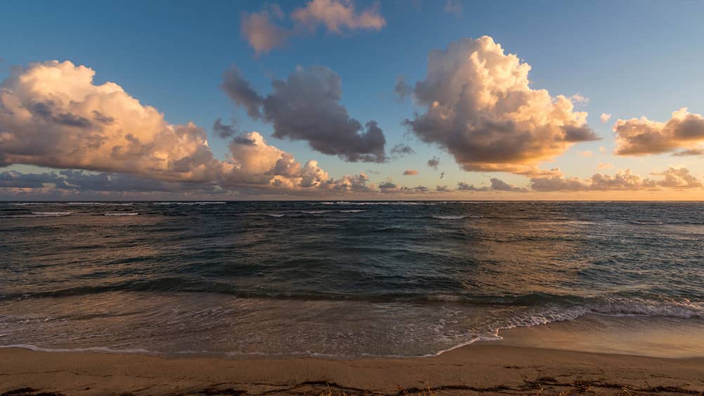 top 10 things to do in san diego for adults