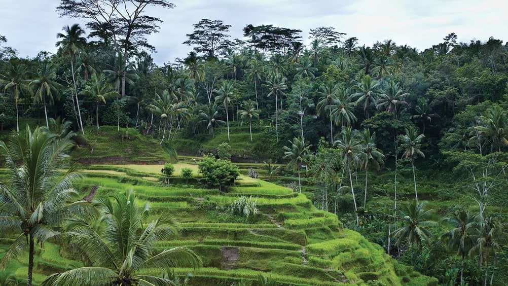 Things To do in Bali | Four Seasons Resort Bali at Sayan