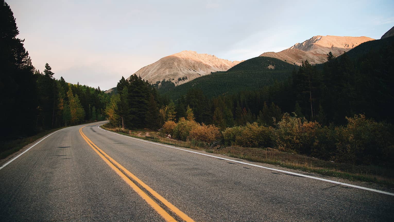 paved road surrounded by forest, mountains