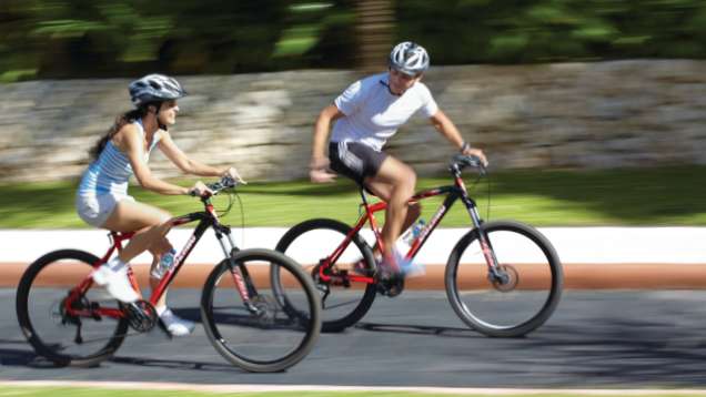Recreational Activities near Four Seasons Hotel Toronto