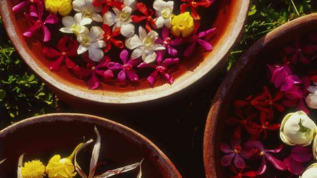 Indulge in a Collection of Thai Spa Therapies in the Spa at Four Seasons Resort Chiang Mai
