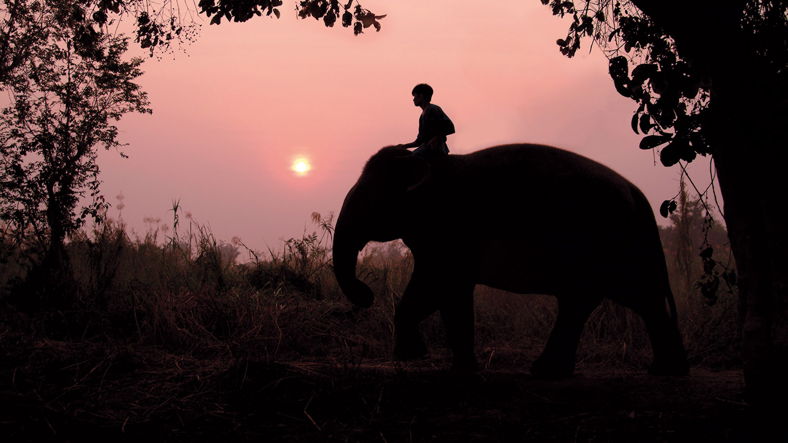 Paket „Tour durch Thailand“ im Four Seasons Resort Chiang Mai, einem Fünf-Sterne-Resort in Chiang Mai