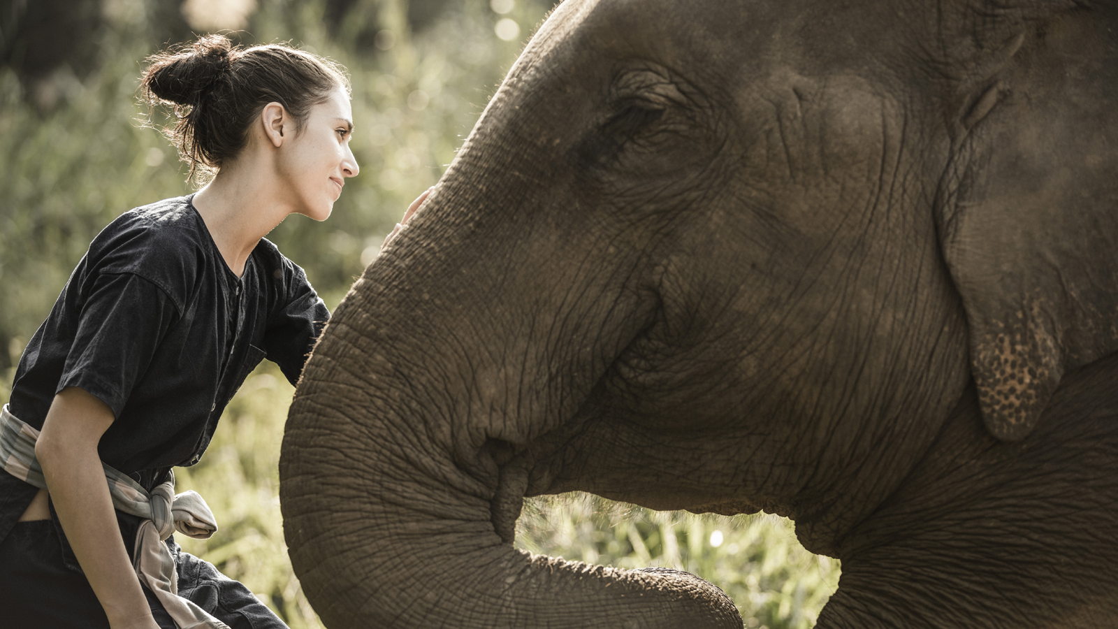 Three-Night Adventure Package Offered at Four Seasons Tented Camp Golden Triangle, a Luxury Tented Camp in the Golden Triangle, Thailand