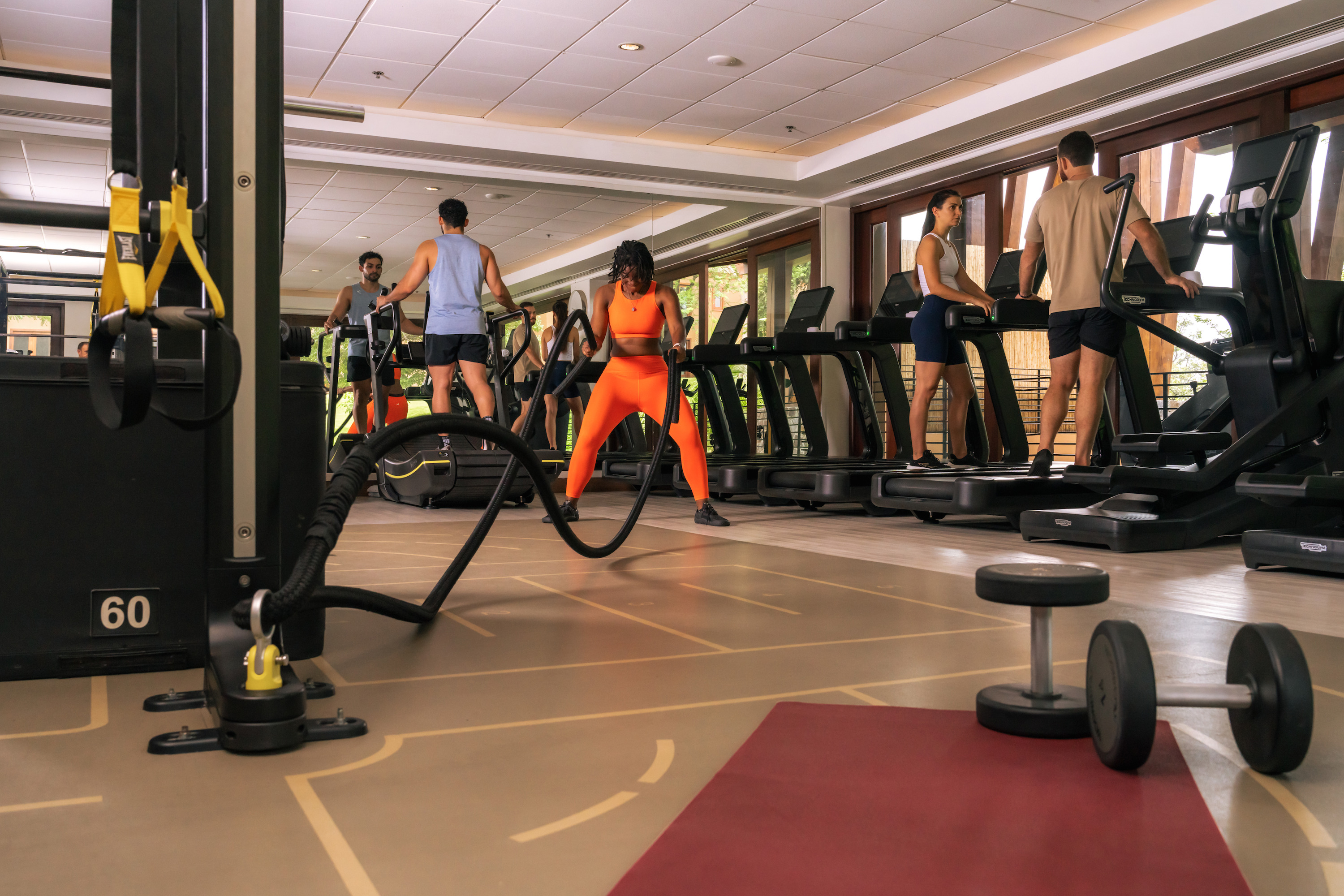 Unlock Peak Potential An Exclusive ScienceBased Wellness Experience