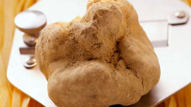 White Truffles