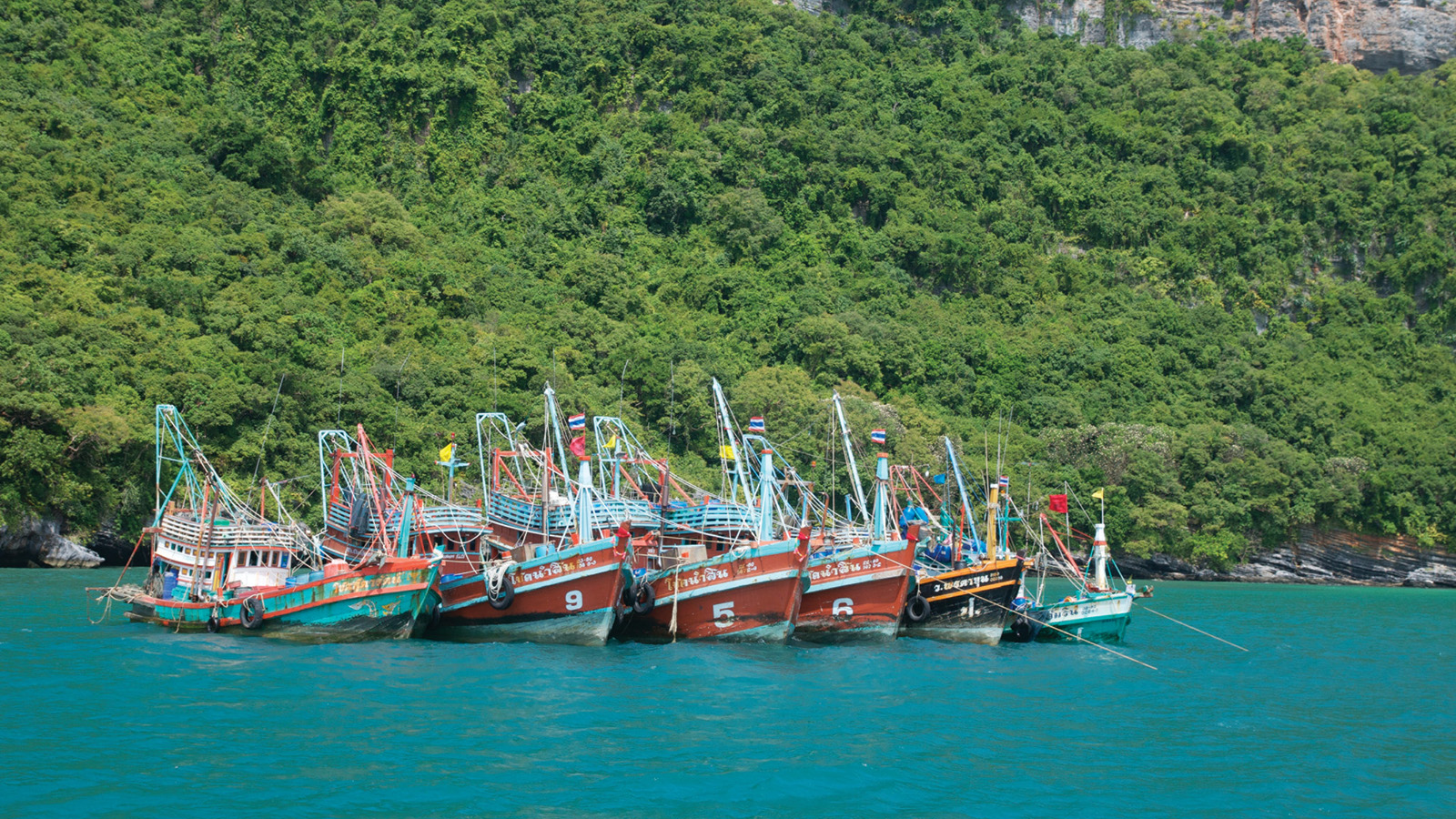 Five Must-Do Destination Experiences in Koh Samui