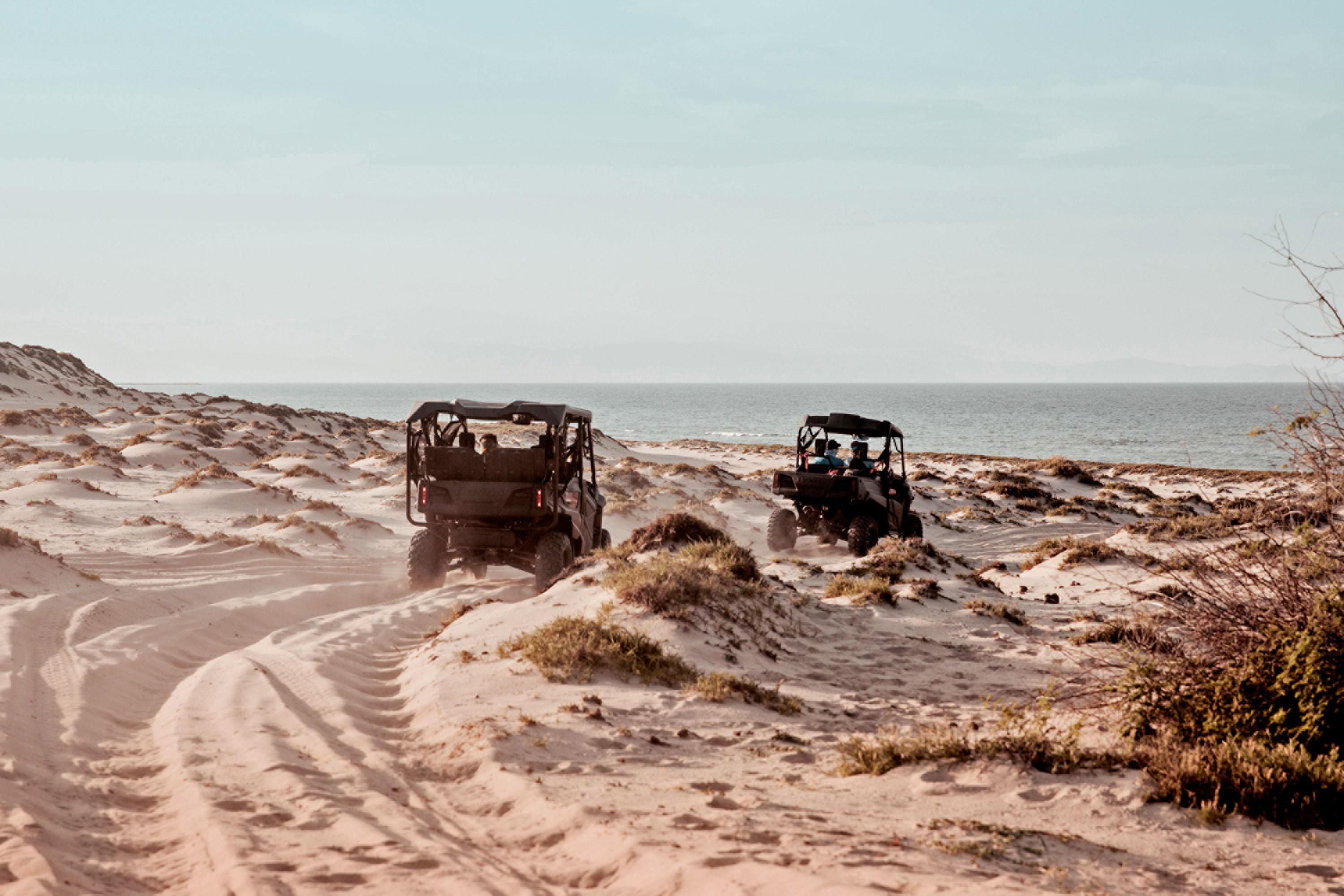 Top 10 Things to Do in Baja with Four Seasons Resort and Residences Los