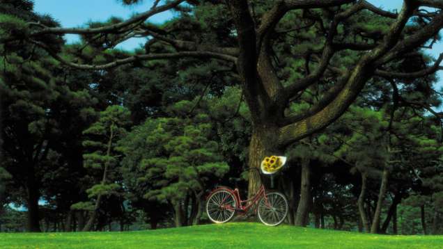 Imperial Palace Bike Ride at Four Seasons Hotel Tokyo