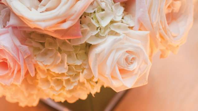 Palm Beach Wedding Planning at Four Seasons Resort