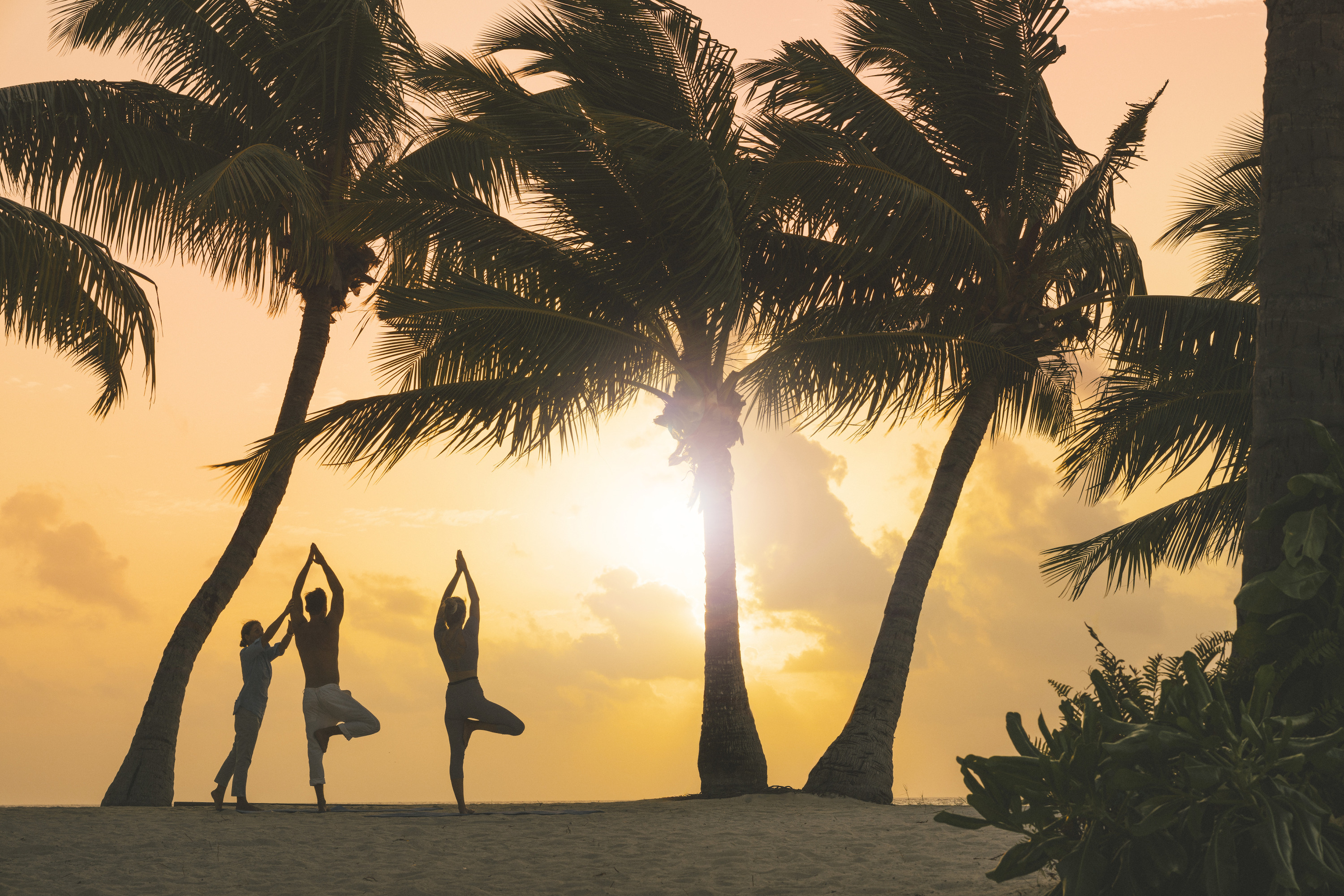 Wellness Begins Within: Four Seasons Holistic Approach to Nurturing