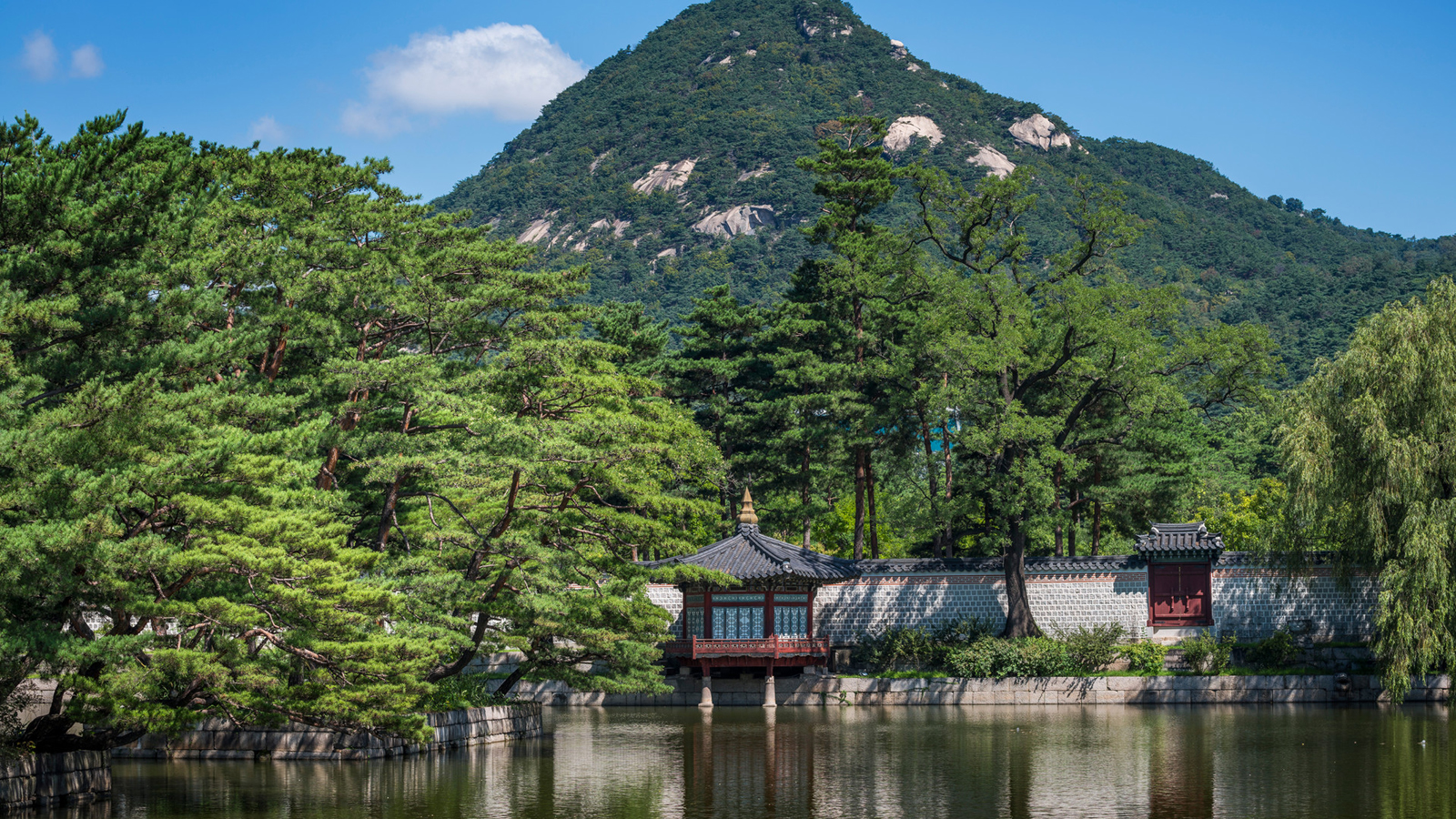 Spring in Seoul
