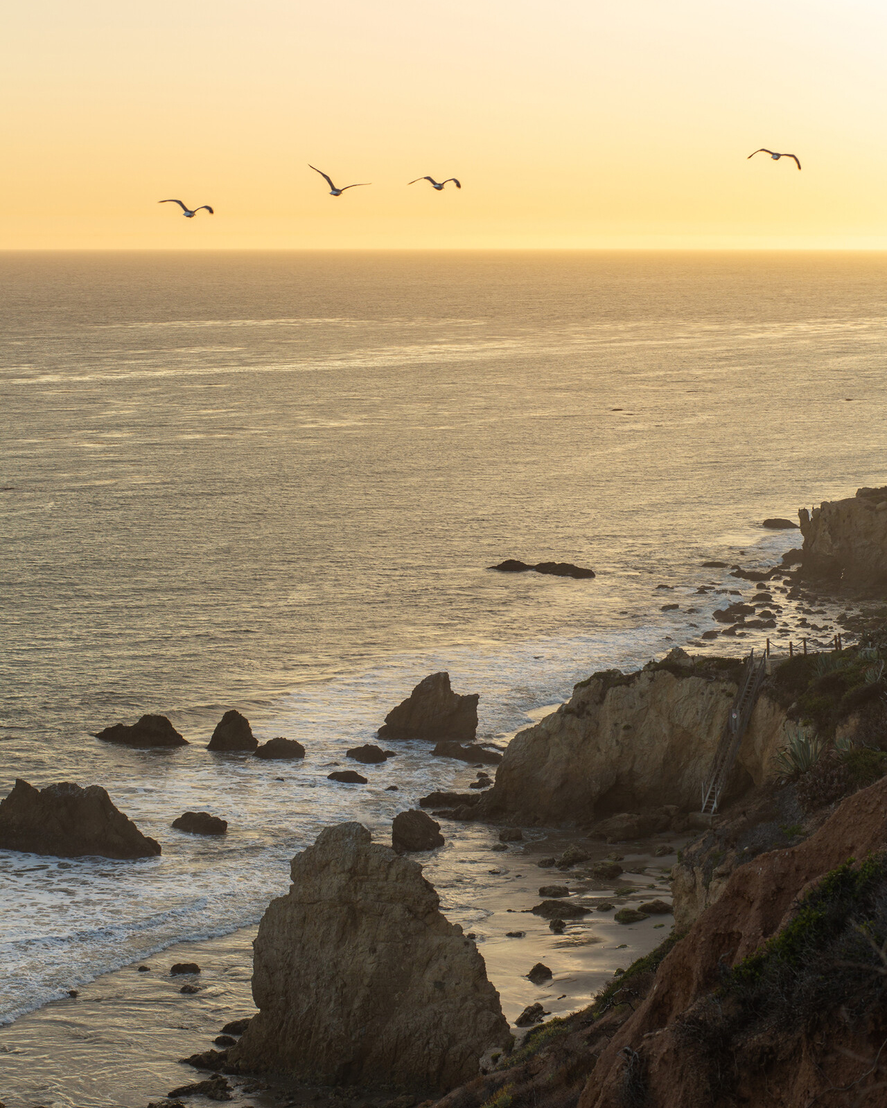 Vitamin Sea: The Health Benefits of the Beach