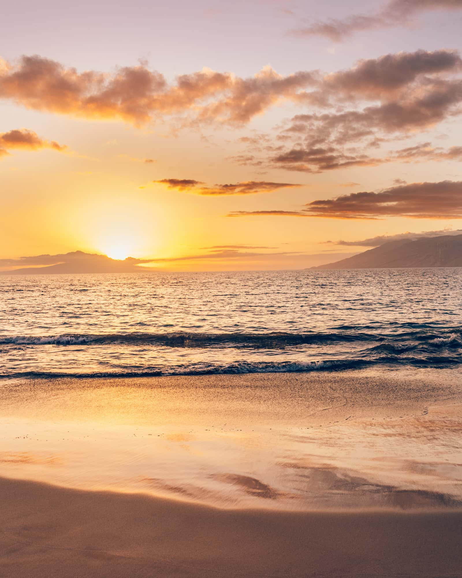 Next|Health Longevity Protocol