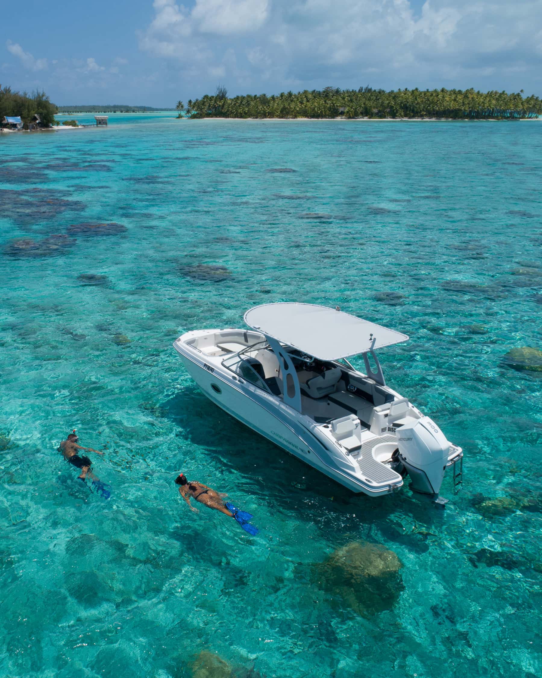 Bora Bora Scuba Diving | Lessons & Excursions | DiveEasy