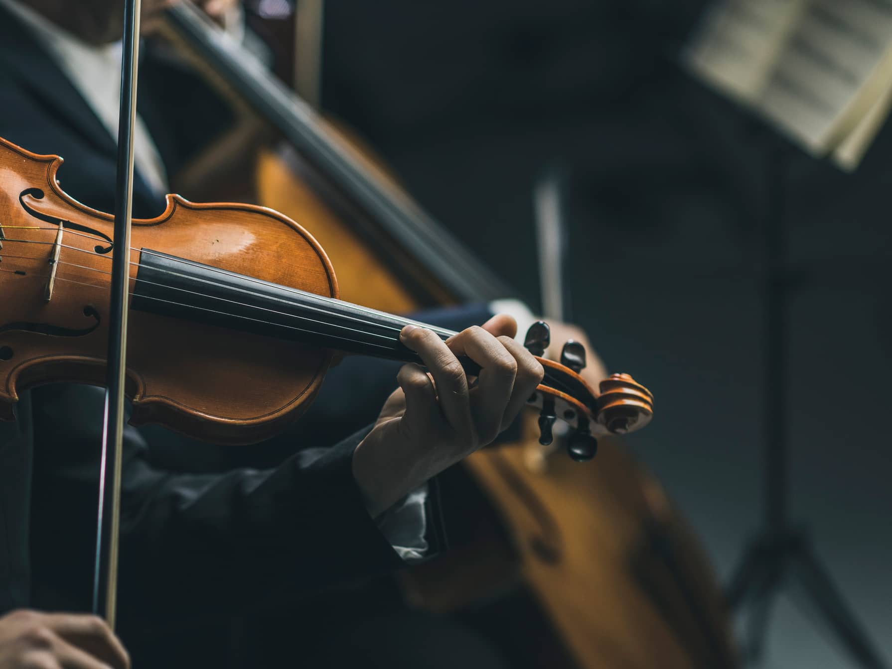 The Bogotá Philharmonic 