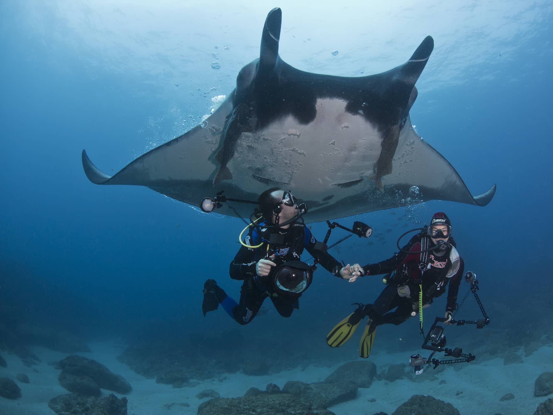  Experience a Unique Night Snorkel Adventure  