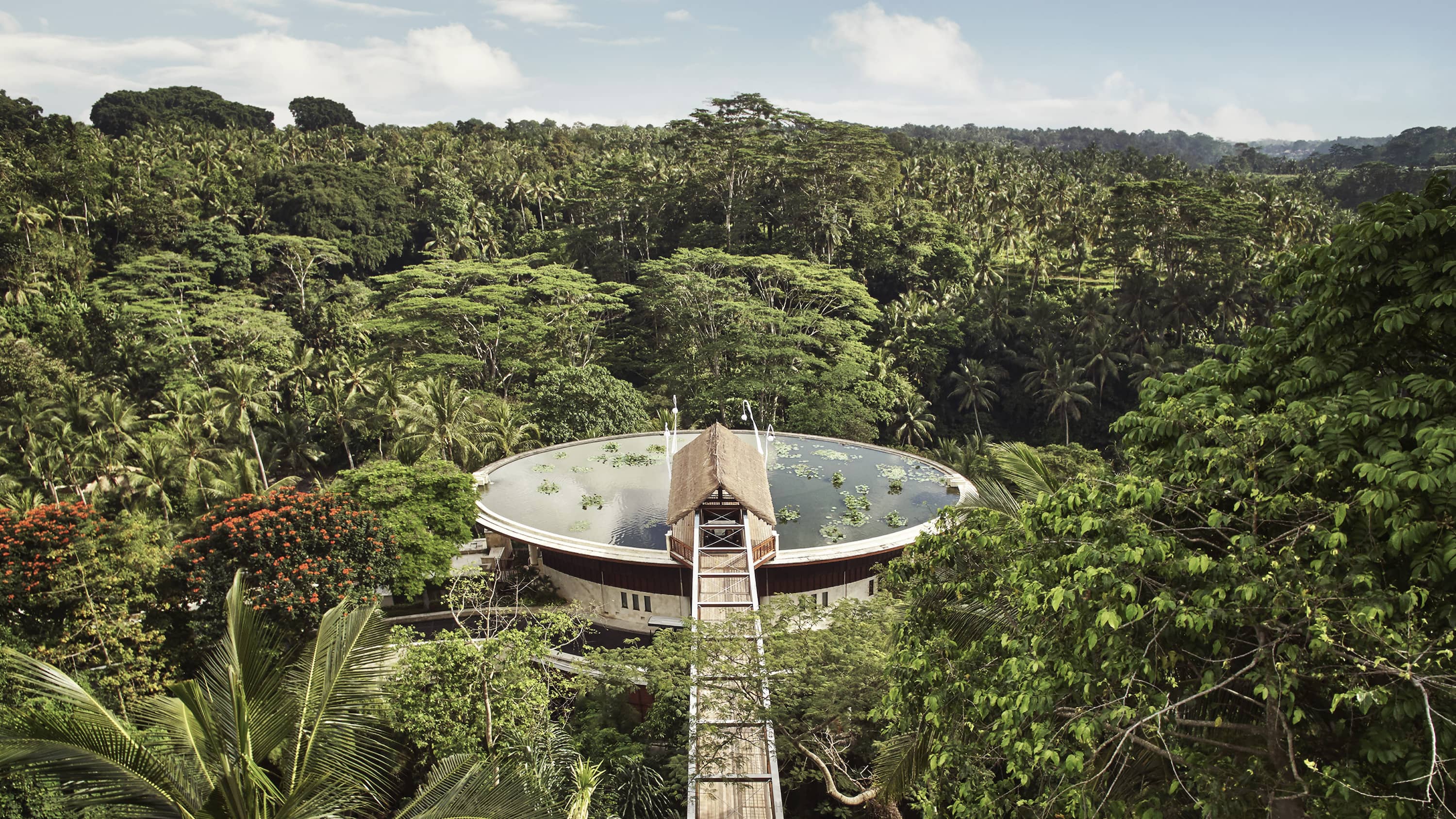 Bali landscape 