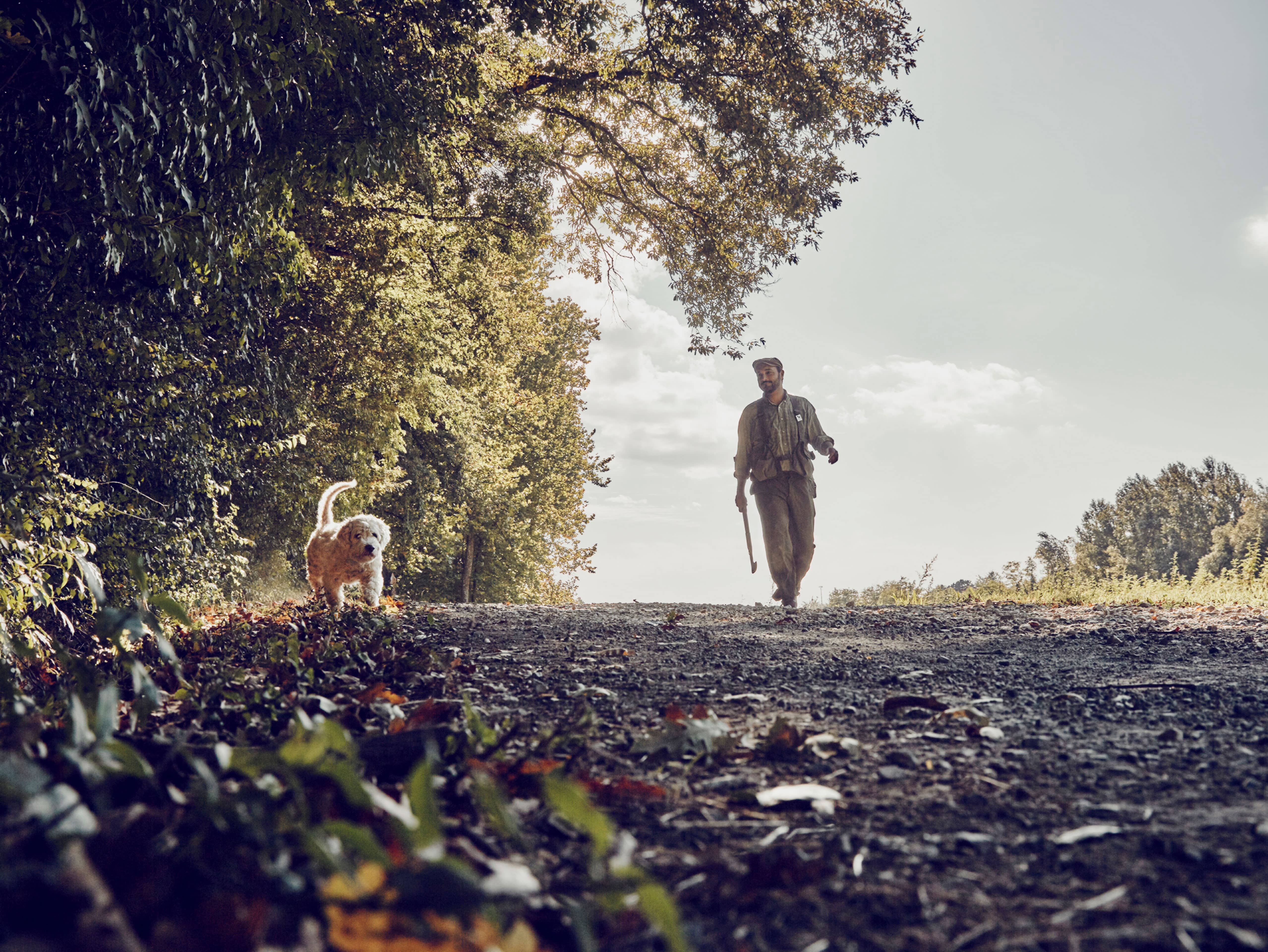  Enjoy a truffle hunting adventure  
