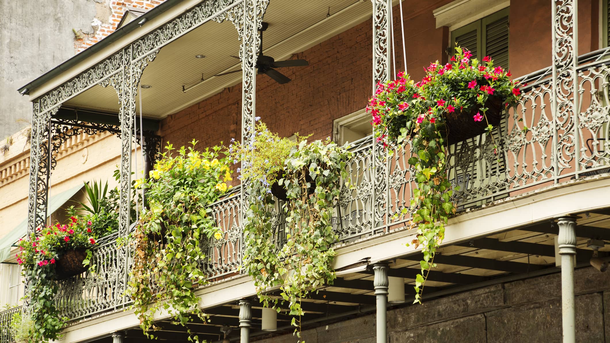 New Orleans 