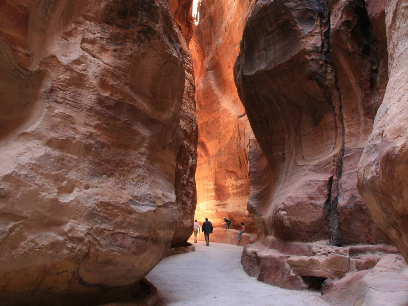  Witness the Grandeur of Petra on a Day Trip  