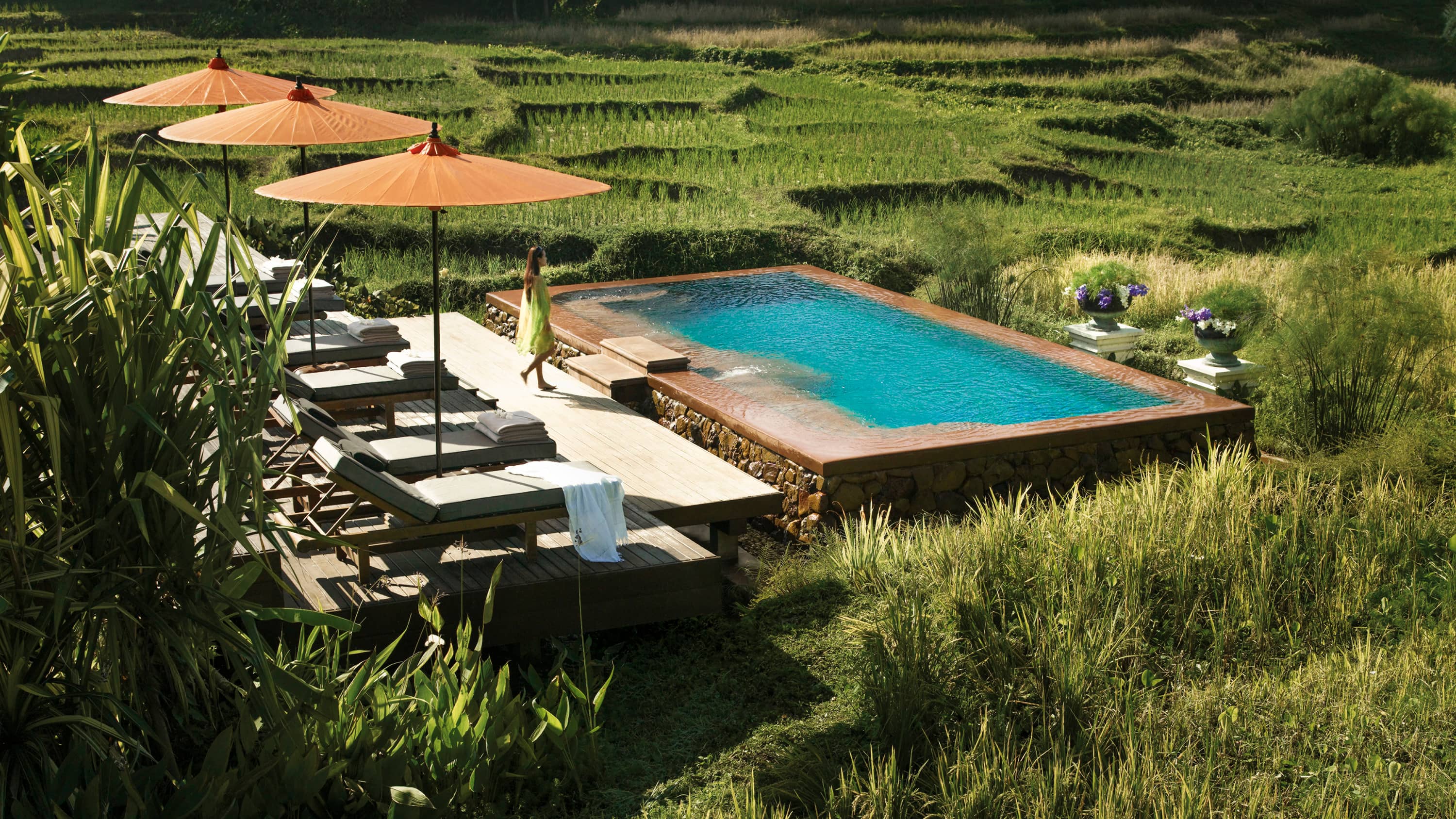 Four Seasons Chiang Mai pool surrounded by rice fields 