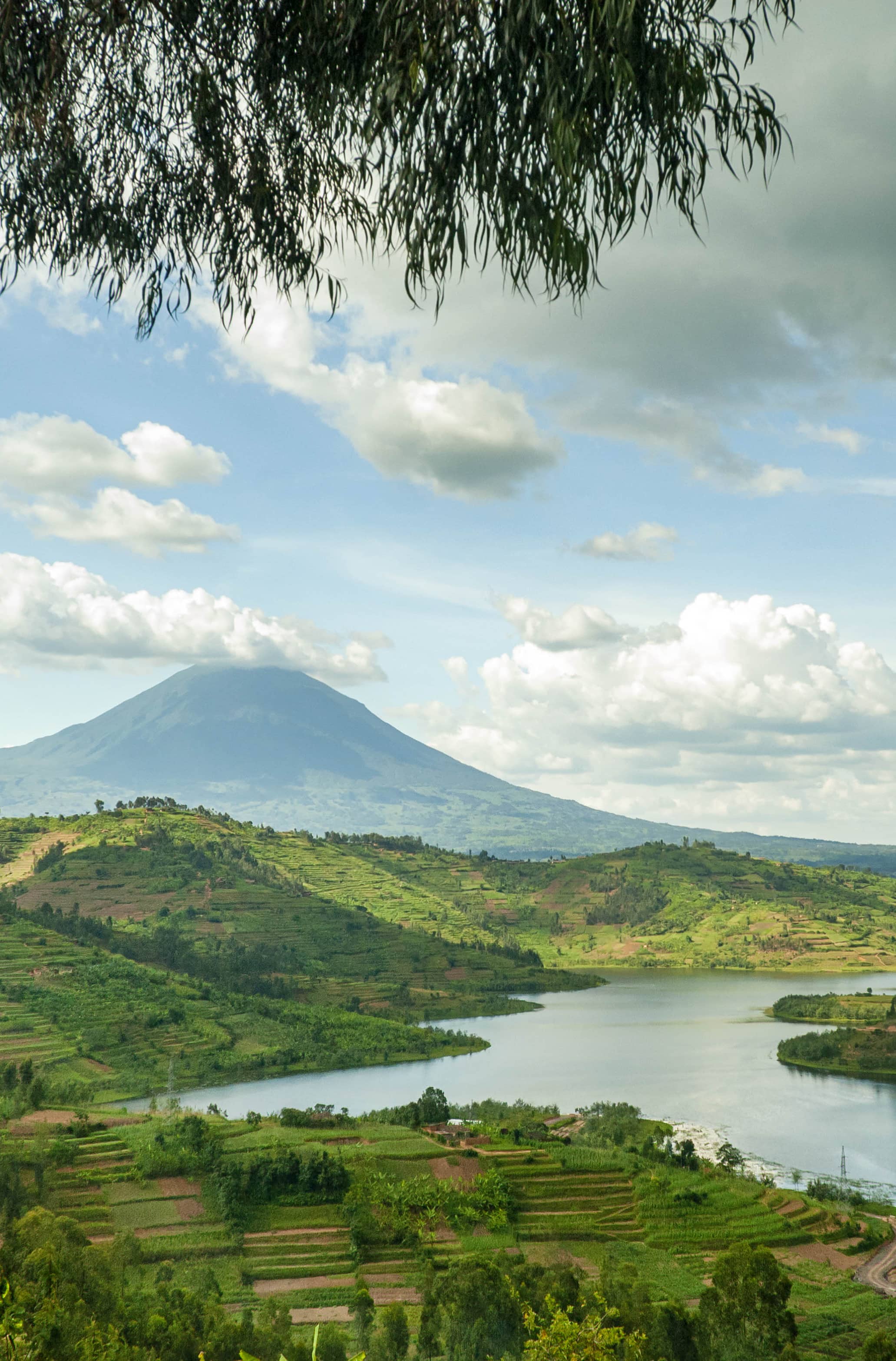  Rwanda  