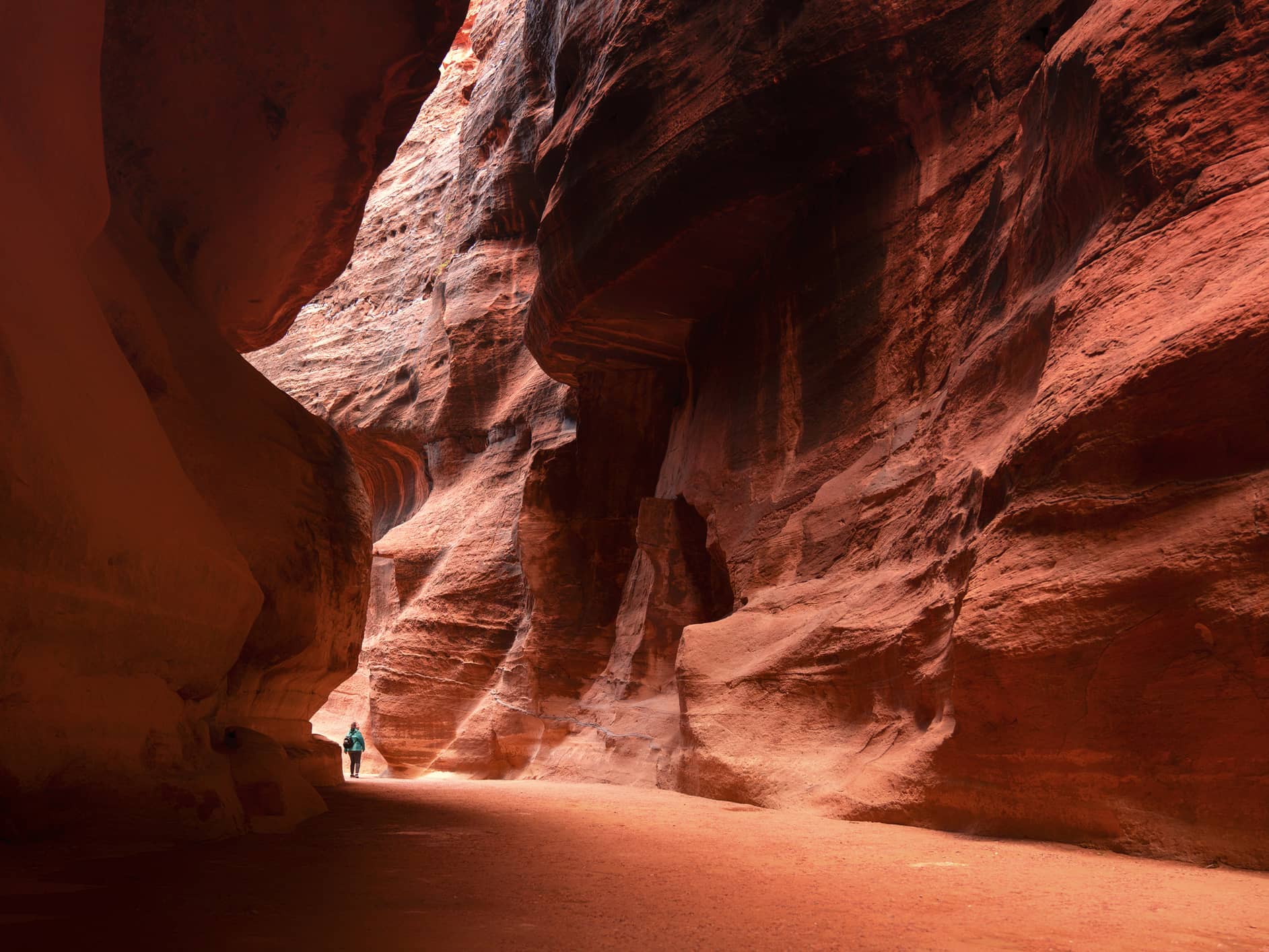  Witness the grandeur of Petra on a day trip  