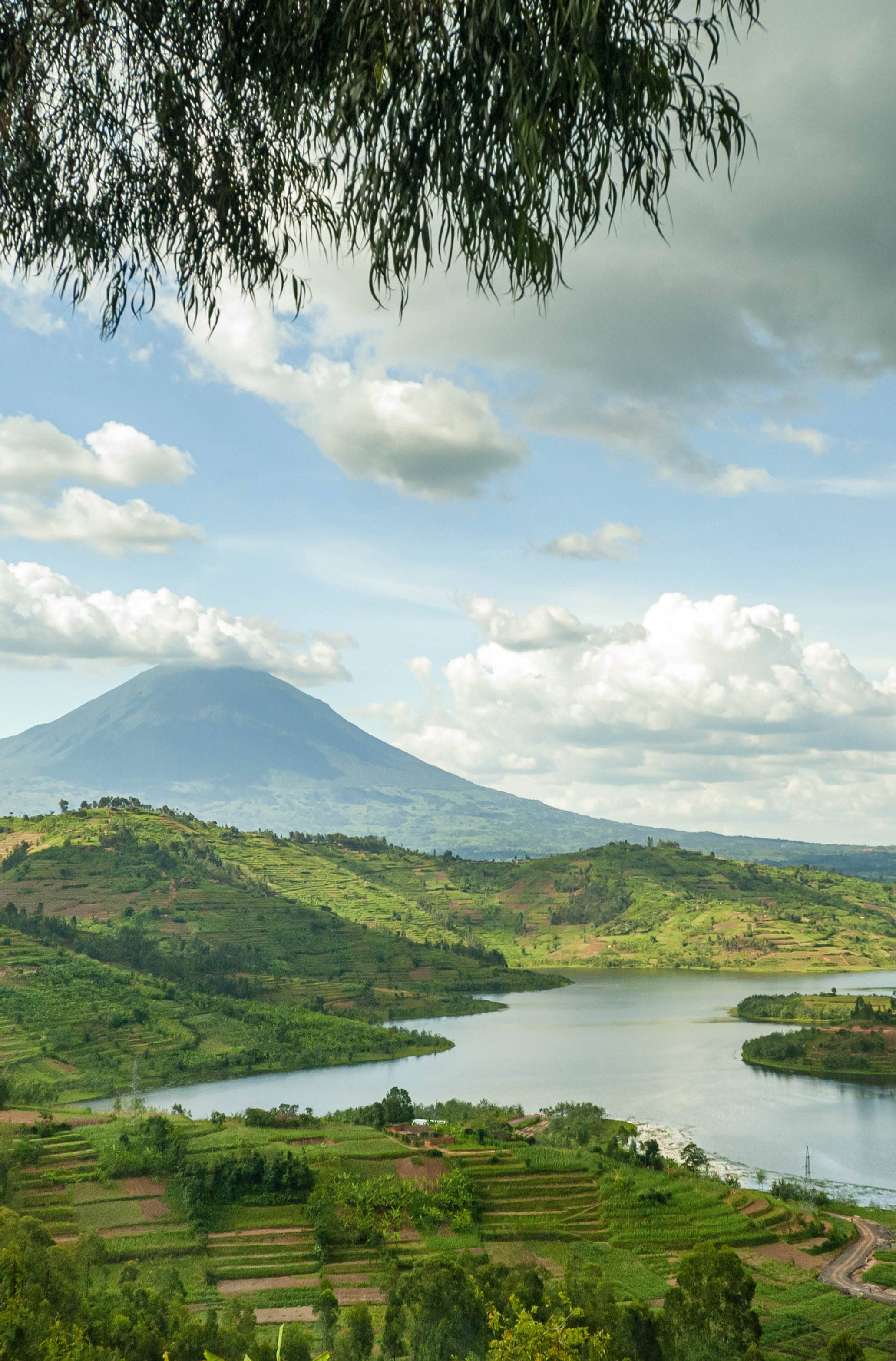 Rwanda mountaintop 