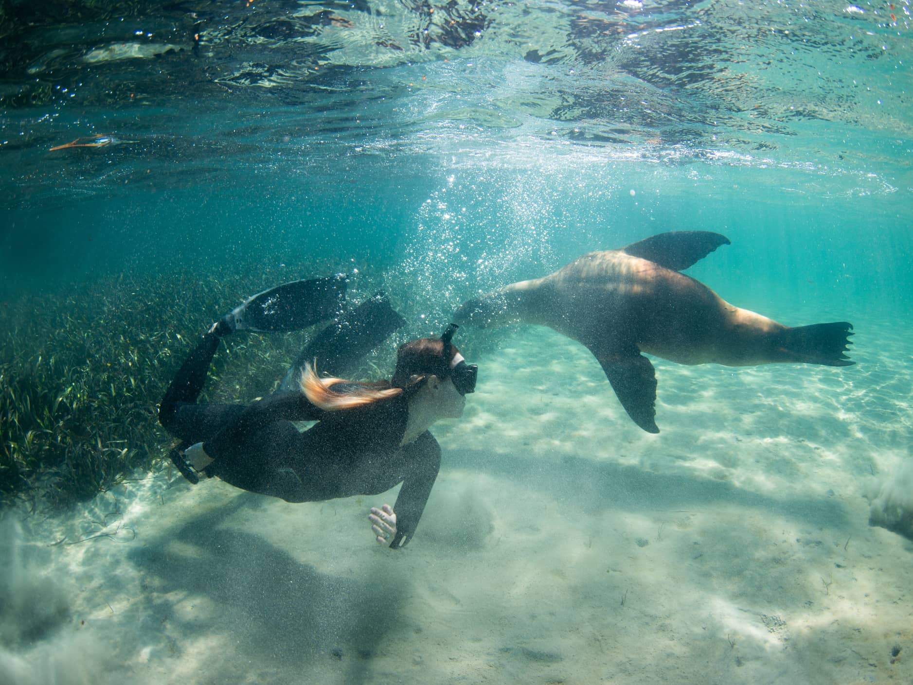  SEEK OUT THE ISLANDS’ ENDEMIC WILDLIFE  