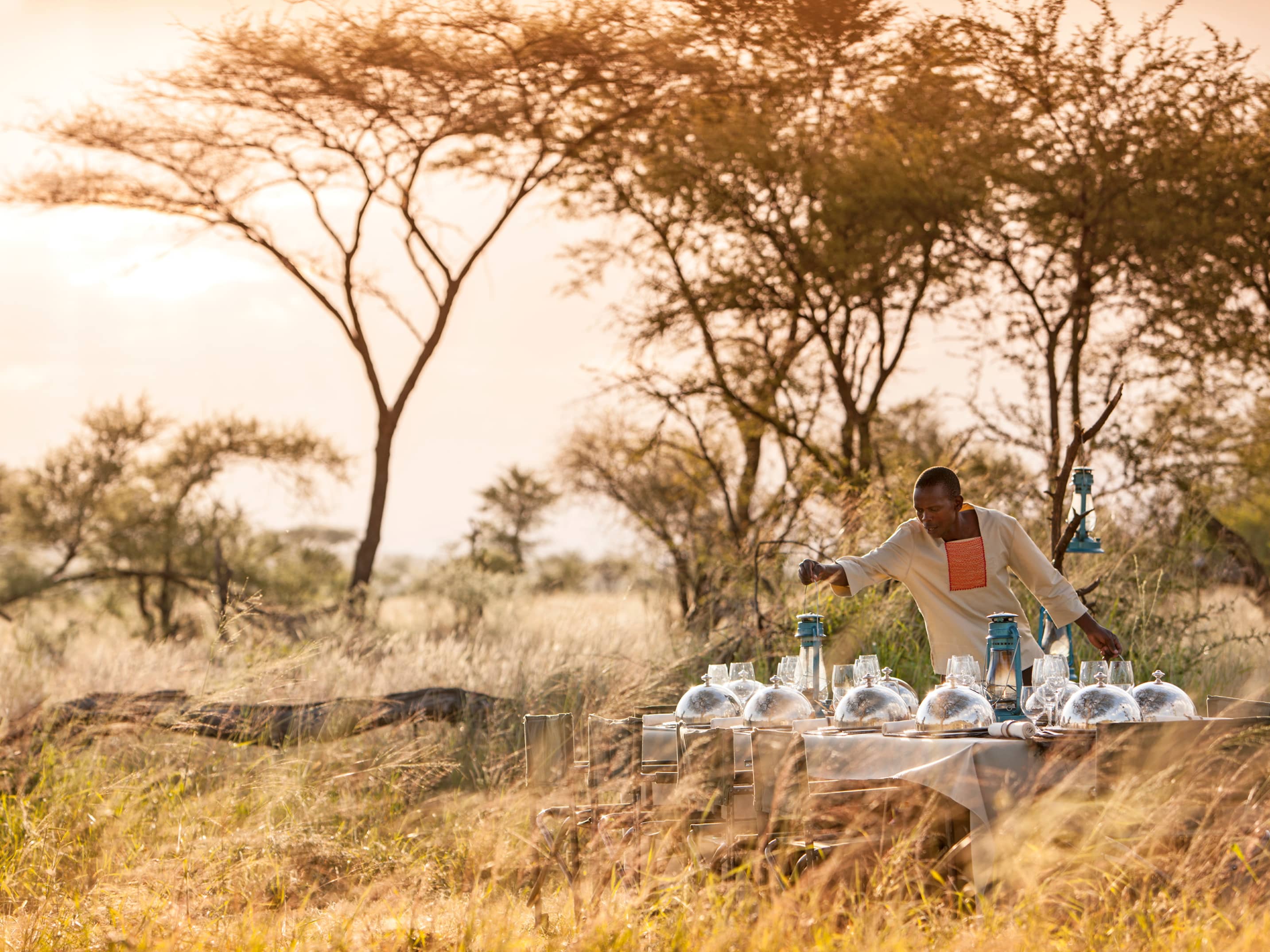  Celebrate New Year's Eve in the Bush  