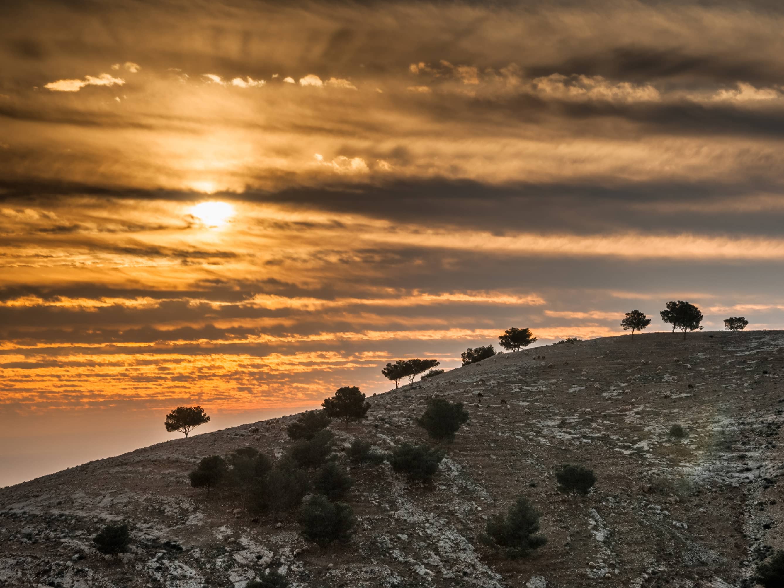  Head to the top of Mount Nebo  