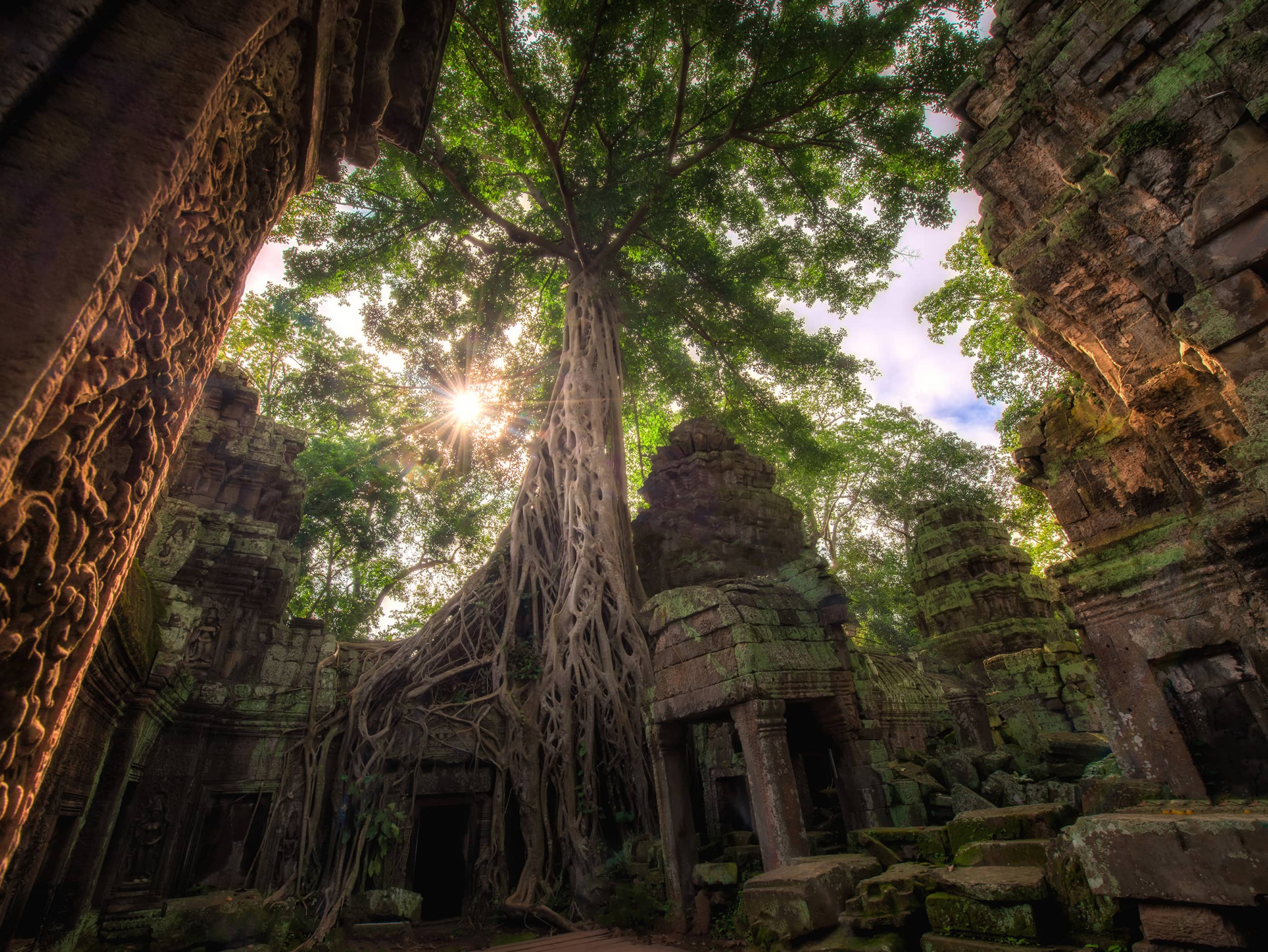  Go on an archaeological adventure  