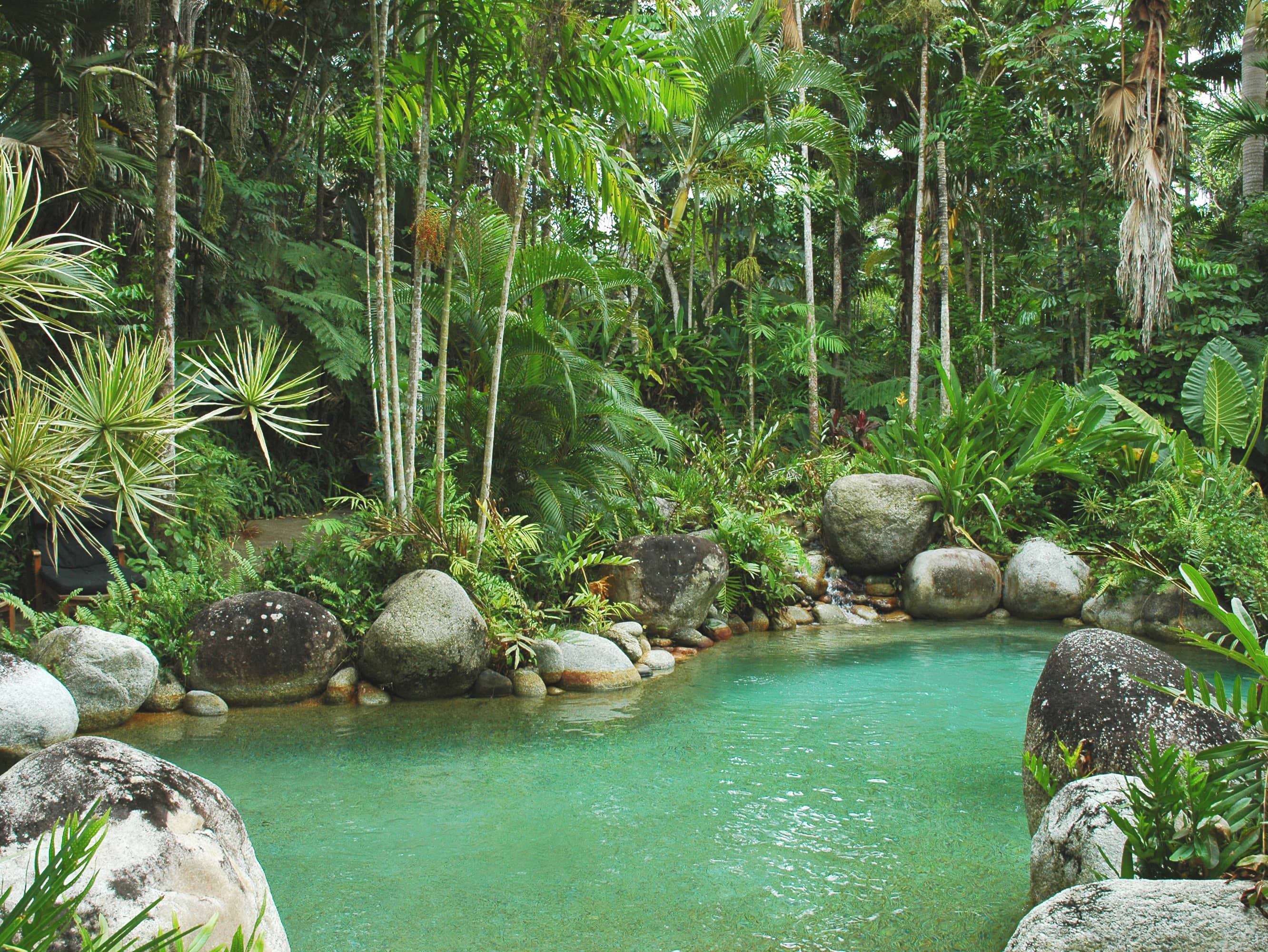  Go off the beaten path on a Kuku Yalanji Rainforest walk   