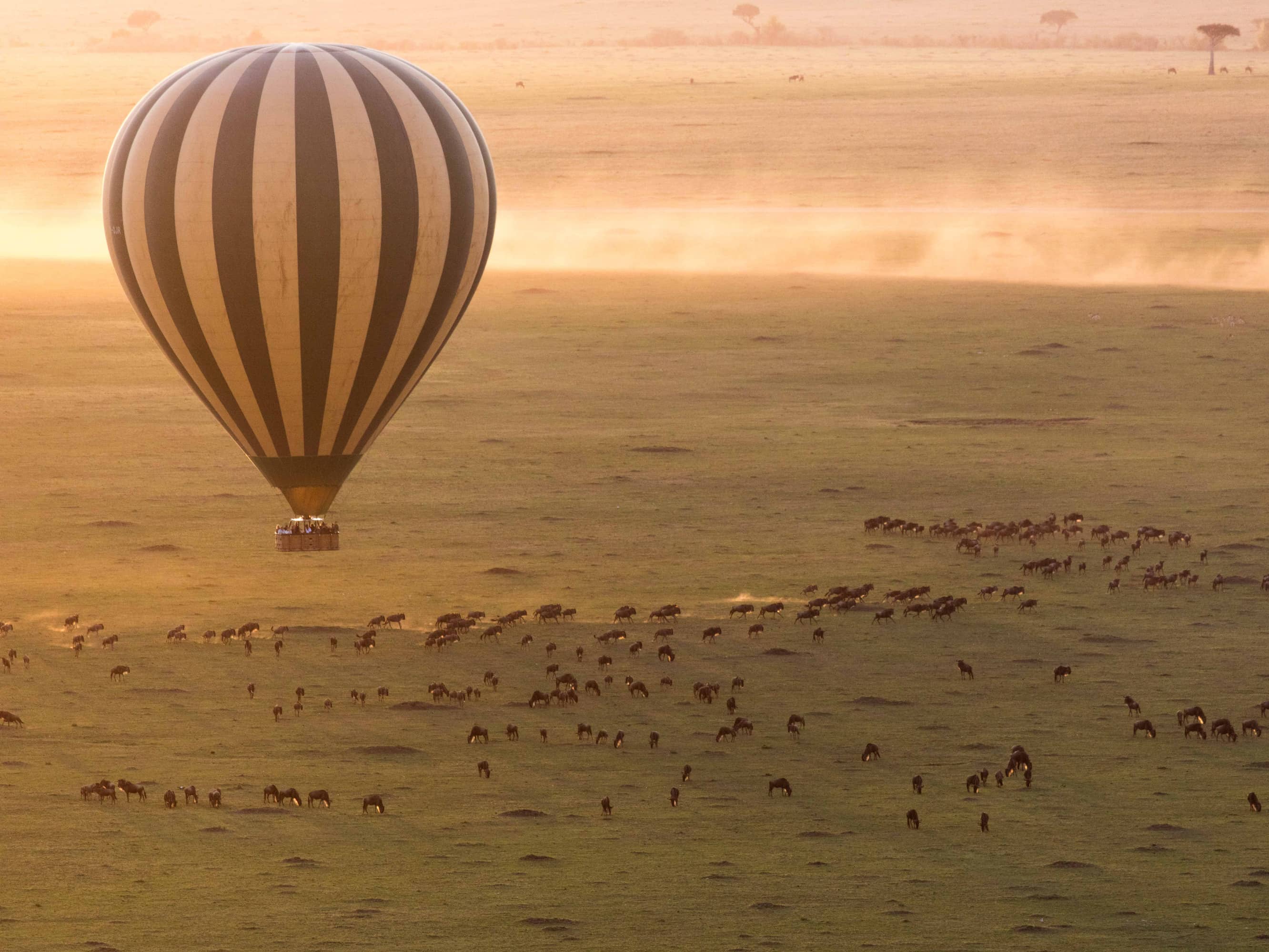  SOAR OVER THE SERENGETI IN A HOT-AIR BALLOON  