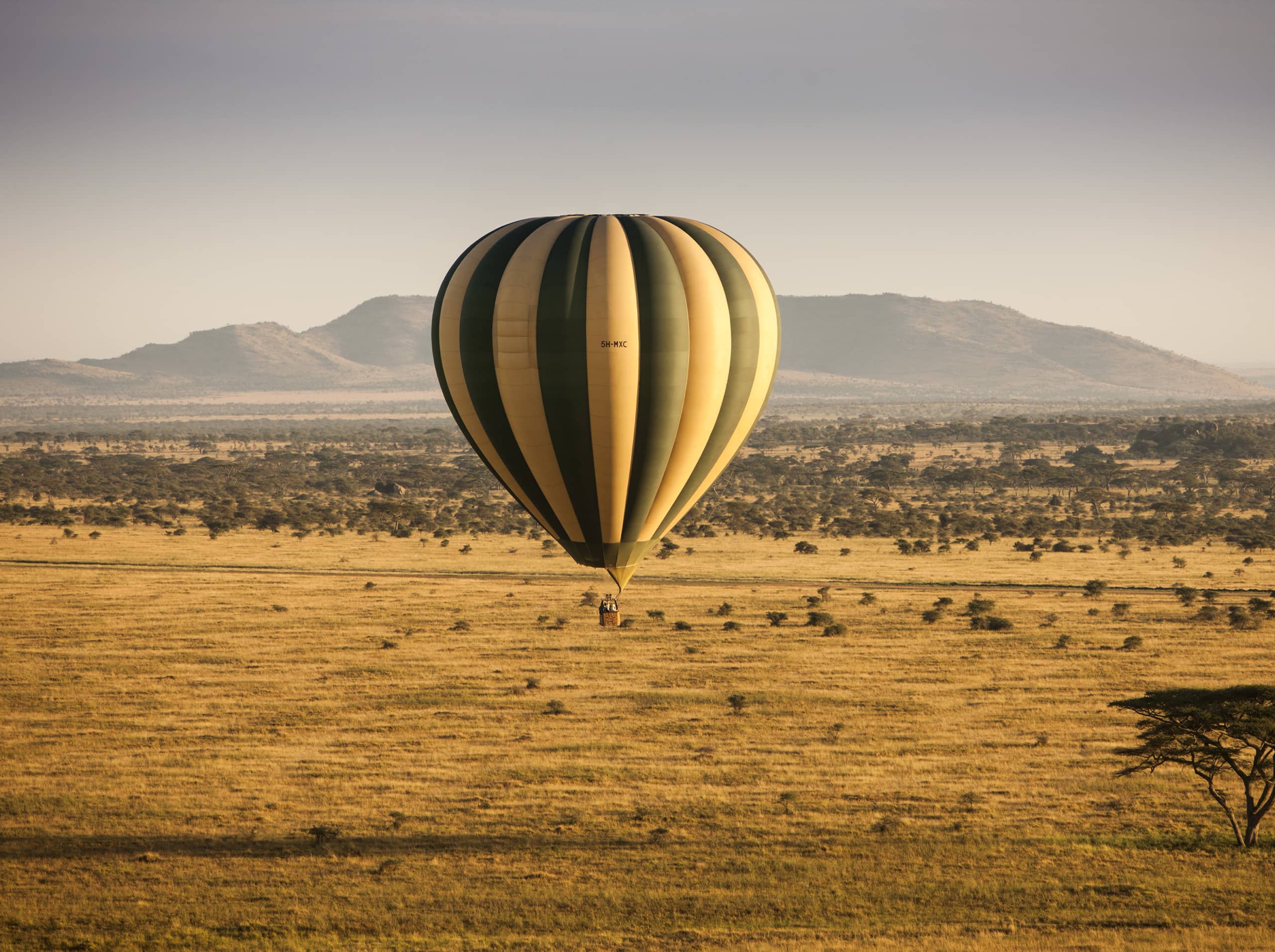  Soar above the Serengeti in a hot air balloon.  