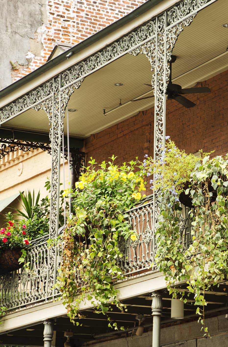 New Orleans 