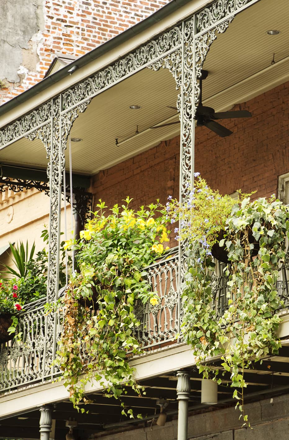 New Orleans 