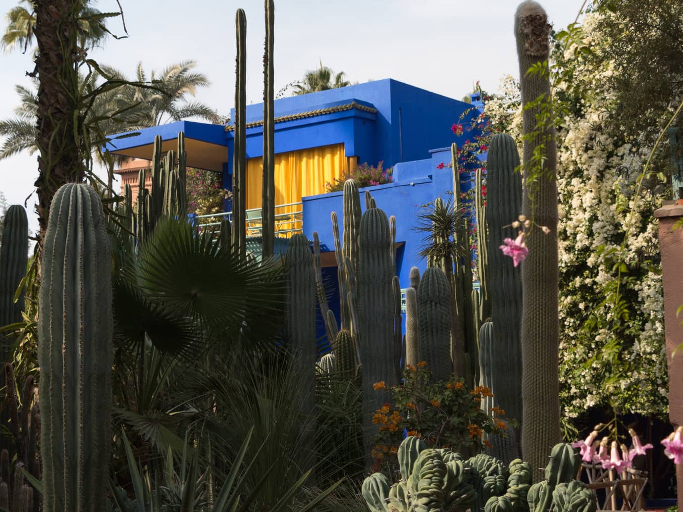  Explore an iconic garden  