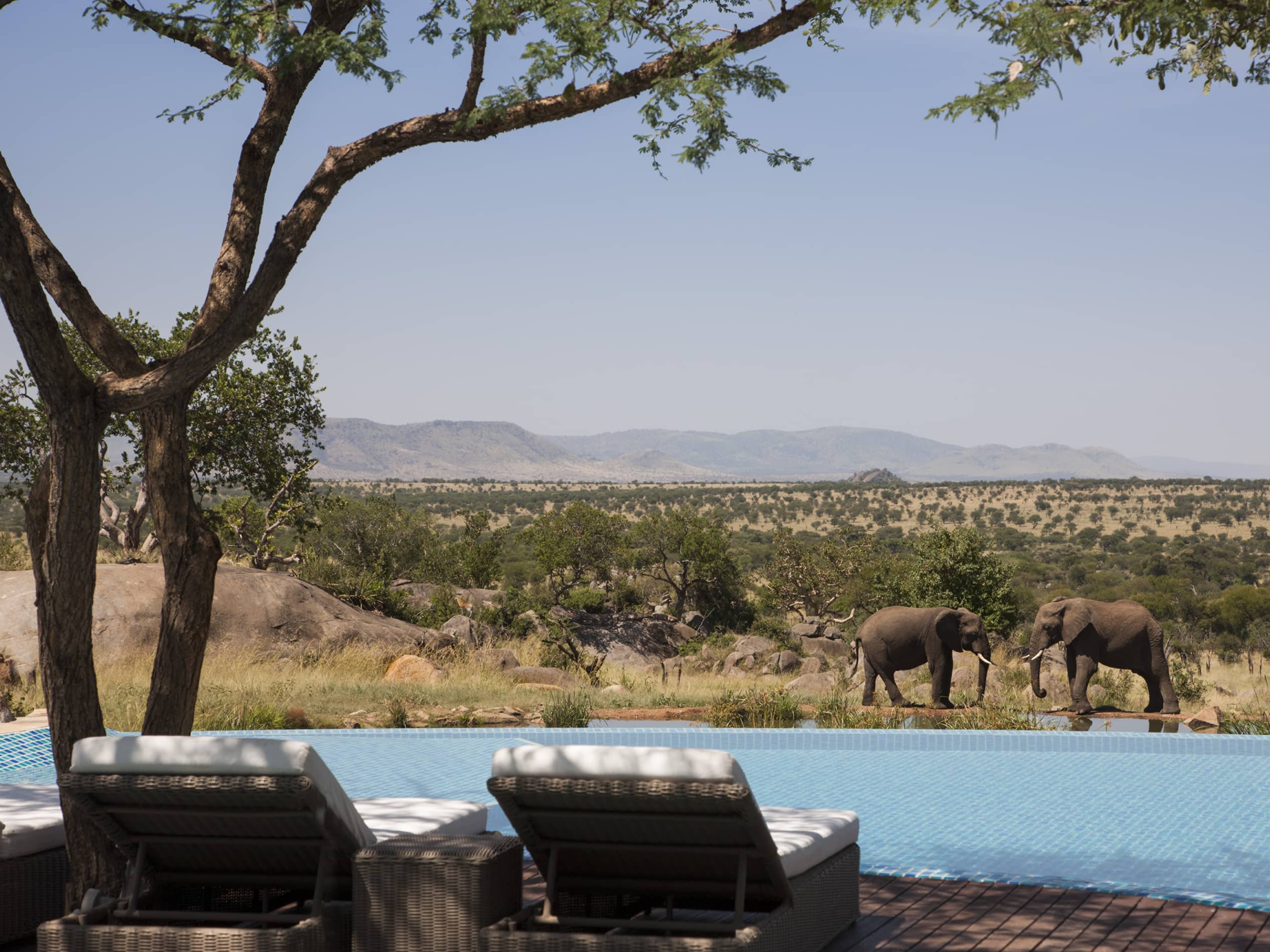 Four Seasons Lodge Serengeti 