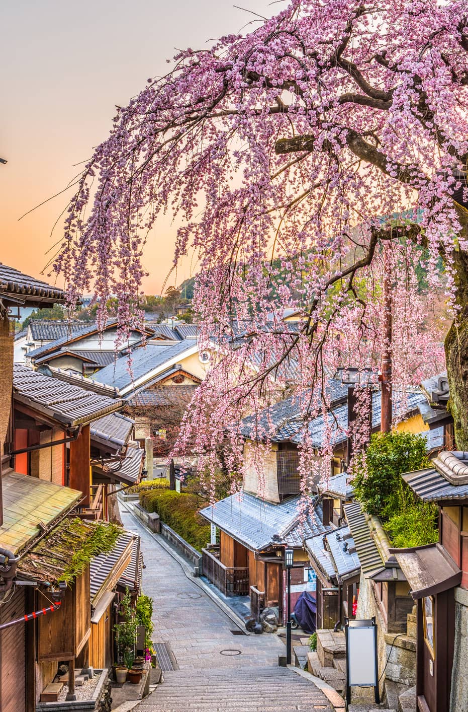 Kyoto woman 