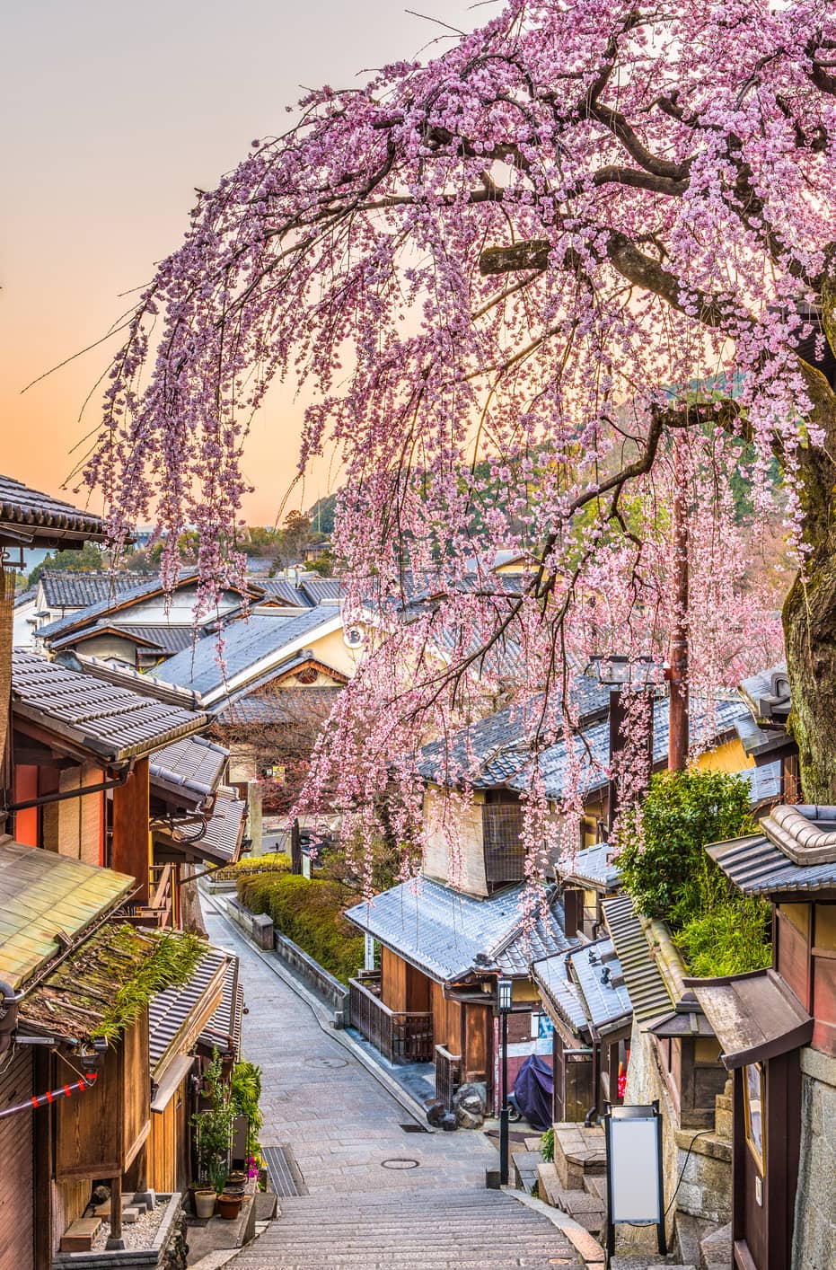 Kyoto woman 