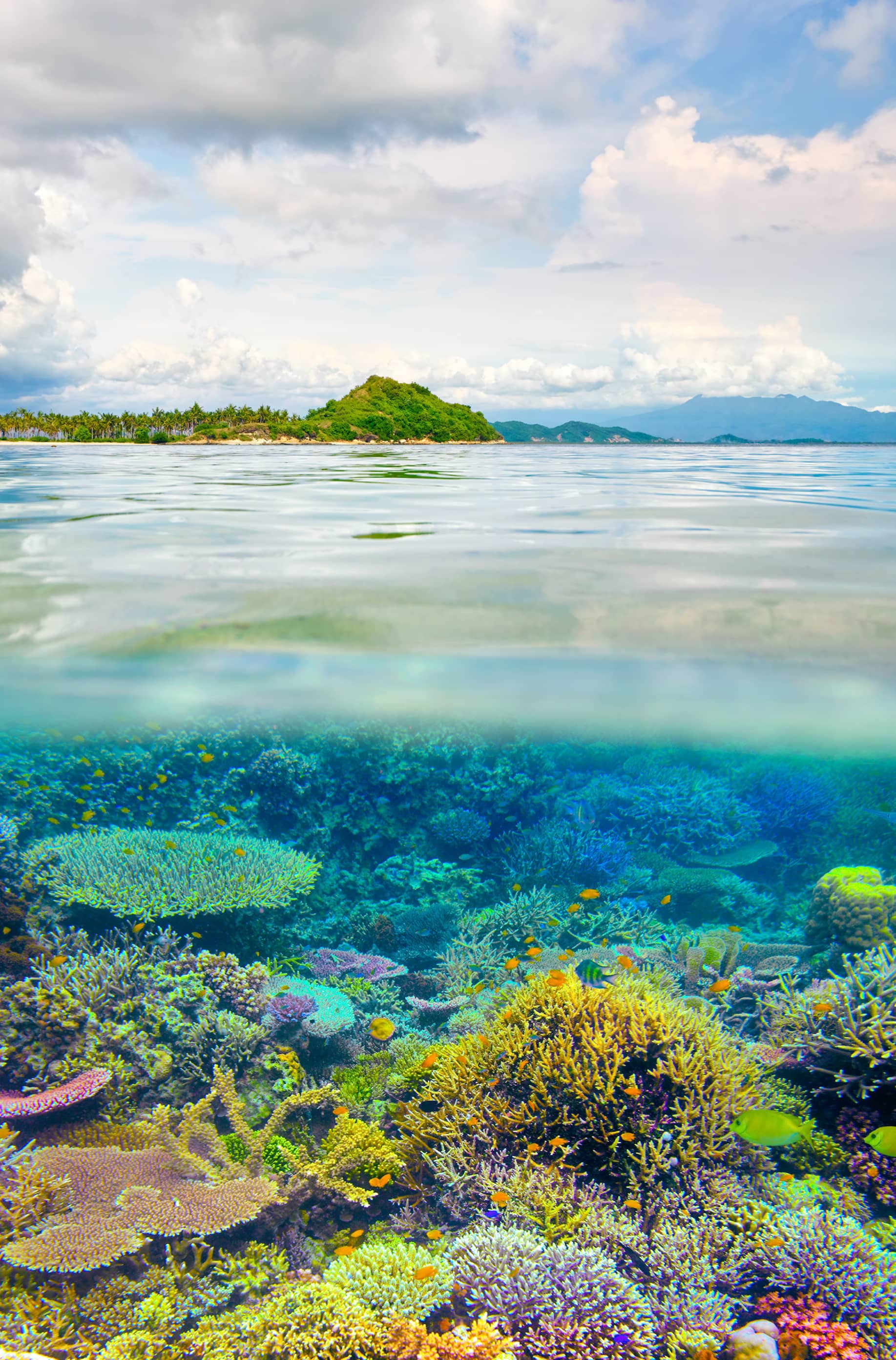  Great Barrier Reef  