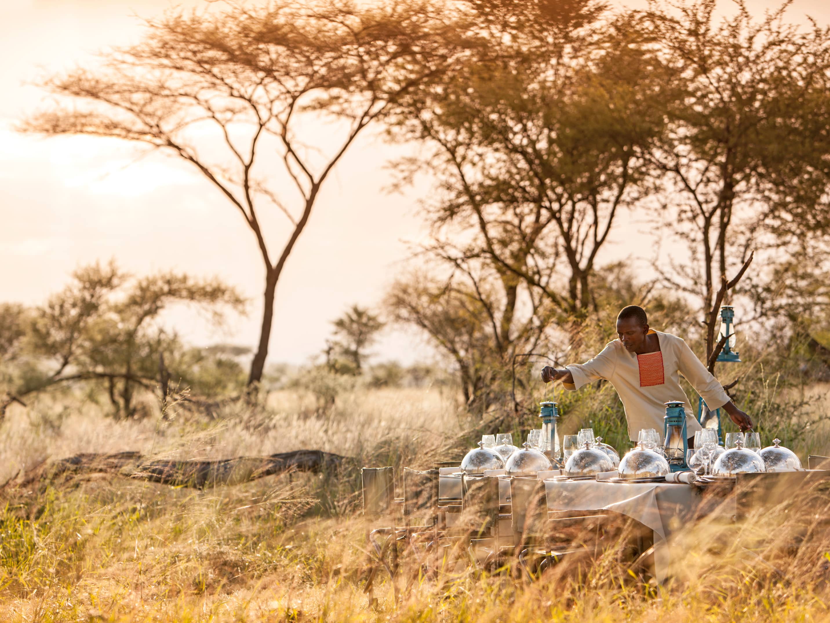  Dine by lantern in the bush  
