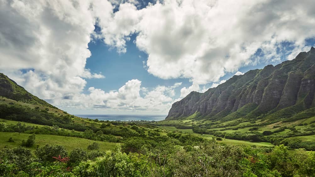 Taste of Oahu