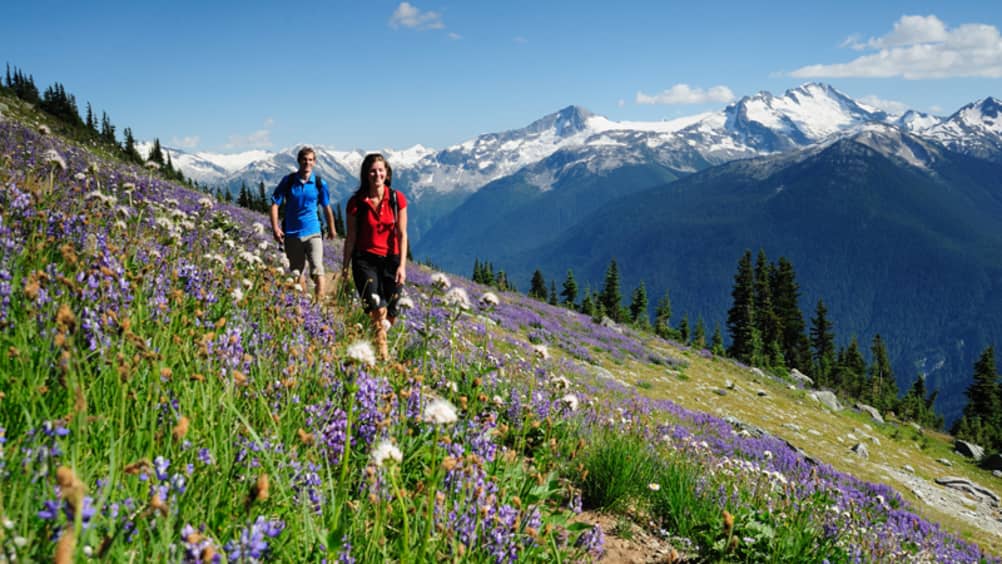 four-seasons-mountain-resorts