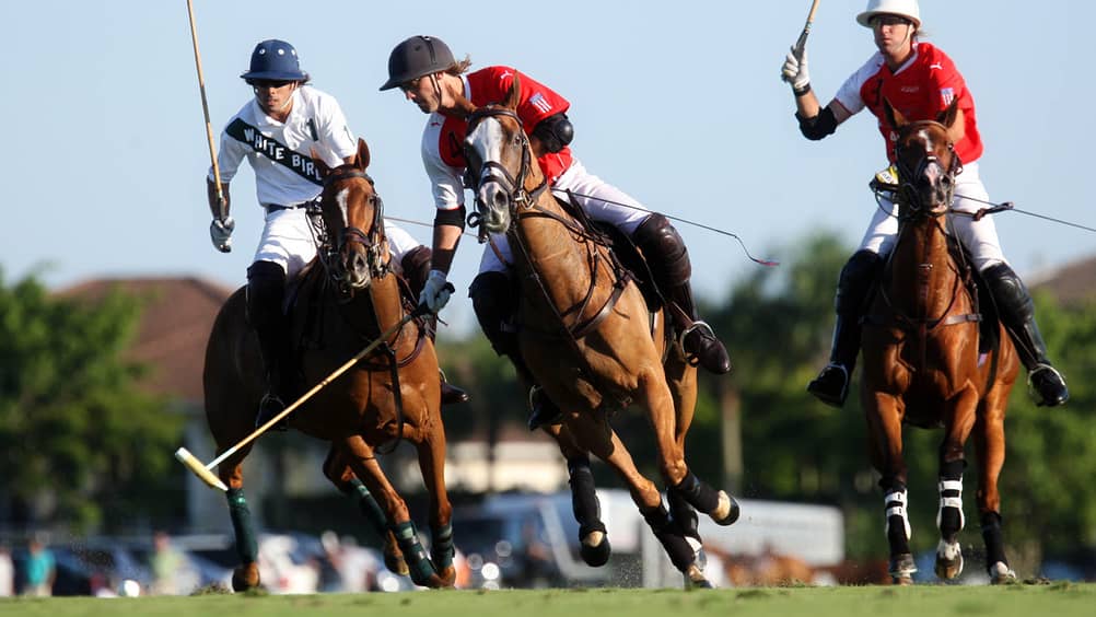 How To Be Part Of The Polo Club Palm Beach Gear Up For The Season In Palm Beach With Tips From Polo Expert Georgette Escobar And Pro Player Kris Kampsen