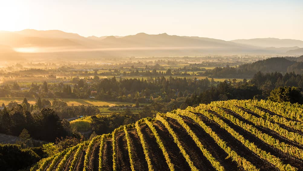 Best Wineries in Napa Valley Four Seasons