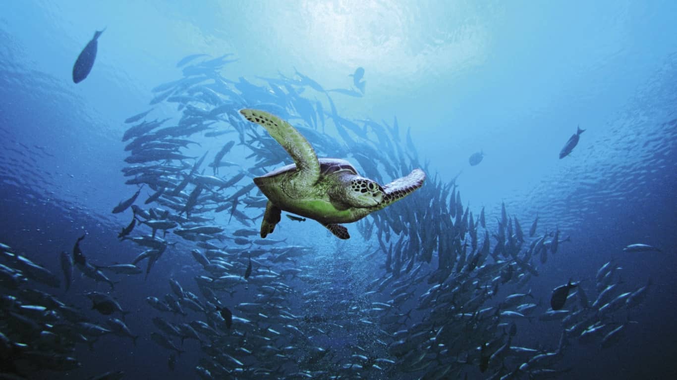海洋探索中心