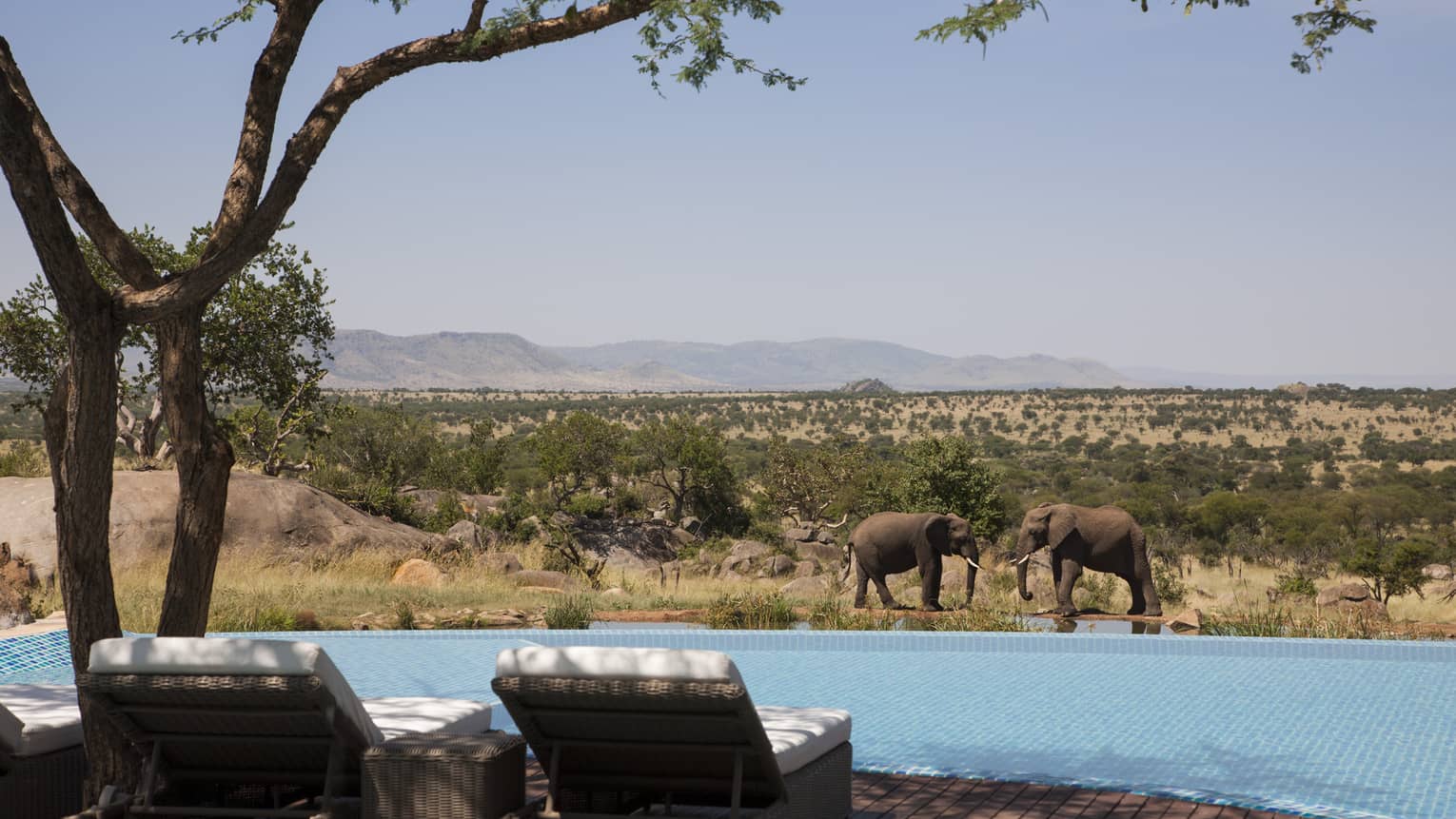 Four Seasons Safari Lodge Serengeti Infinity Pool