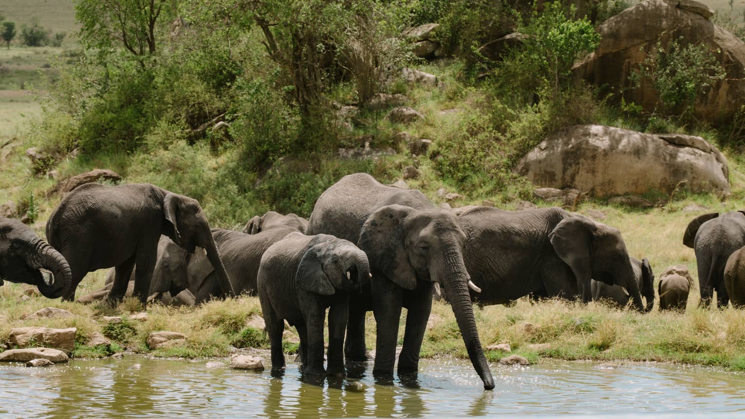 Four Seasons Serengeti official accommodation image